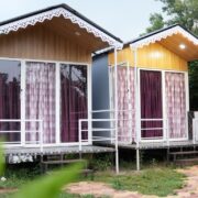 WhatsApp Image 2025-11-07 at 1.24.41 PM