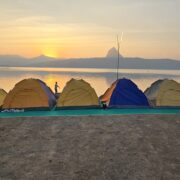 31b11ee3-e9aa-4d81-927f-2691e294db21