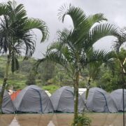 3edca114-0f44-47bd-8fac-4237480bfc68