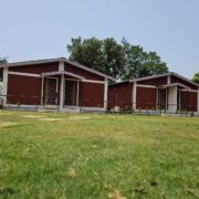 81466705-7476-4a72-bc2a-2a97a1dc4156